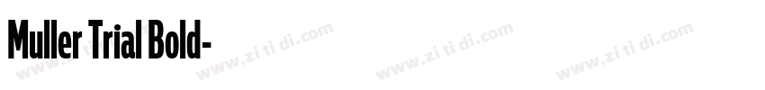 Muller Trial Bold字体转换